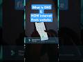 What is DNS? How the internet finds the website #coding #chatGpt #shorts AI & ML androiddevelopment