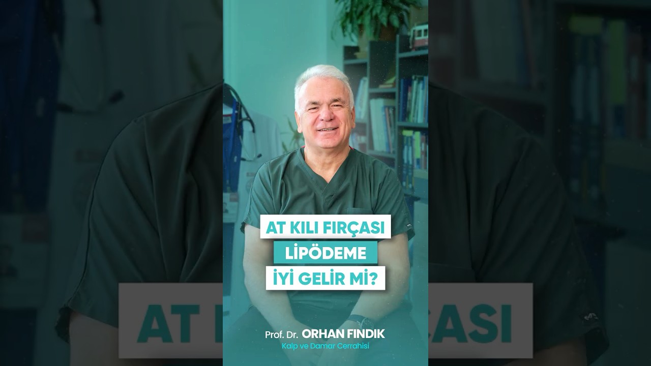 At Kılı Fırçası Lipödeme İyi Gelir Mi?