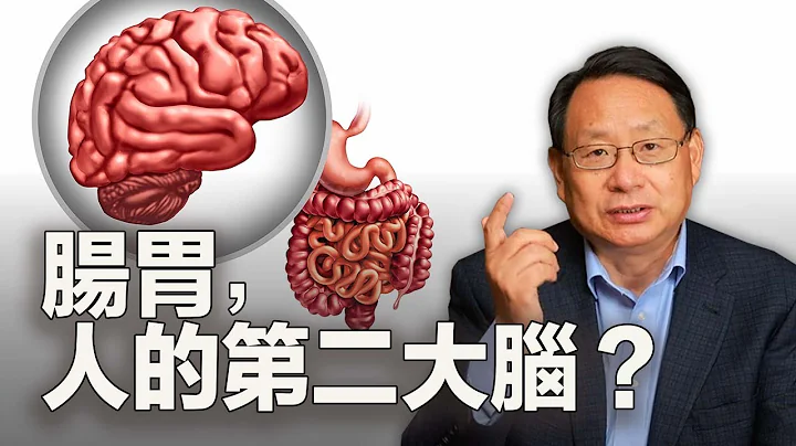 消化道與大腦有什麼關聯？為什麼被稱為第二大腦？怎樣呵護它？ - 天天要聞