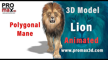 Animated Lion 3D Model – Rigged & Game-Ready | PROmax3D​