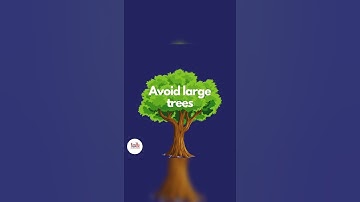 Is your flutter app turning into a complex mess?