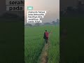 tetap semangat #komedipasutri #funny #komedikuncir #fypシ゚viral #comedy #viralvideo