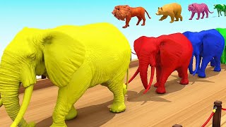 Crossing Fountain Transformation with Cow Elephant Mammoth Gorilla Max Level LONG LEGS Animals Game