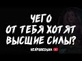 🔥 Чего хотят от тебя Высшие Силы? 🔥 Таро расклад 🔥 Таротерапия