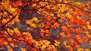 Video thumbnail of "Autumn Leaves - Thu Ngọc"