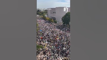 No Kings Day is draws enormous crowds in Washington D.C.