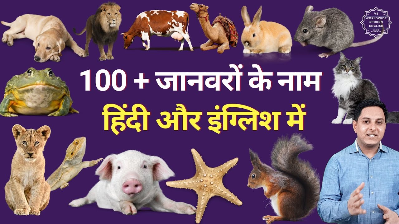 A to Z animals name | names of animals | top 100 animals list with