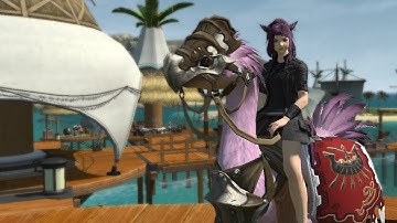 FFXIV: Changing Your Chocobo