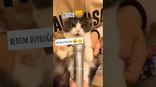 Annemin Duyduğu Vs Benim Duyduğum Suga