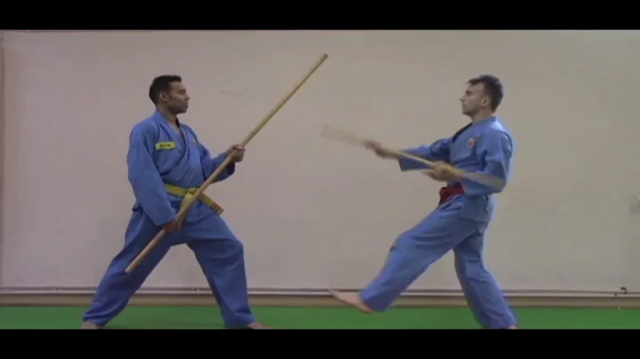 Viet vo Dao Long Stick Vol.1. Master Patrick Levet