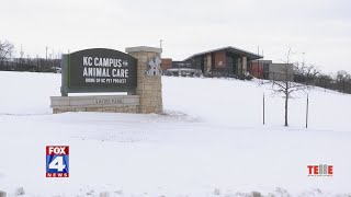 Euthanasia concerns rising at KC Pet Project, board members step down