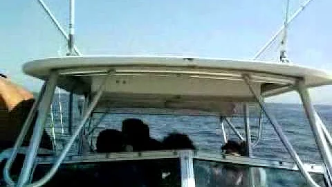 Fishing in Punta de Mita four seasons, Earl Spragu...