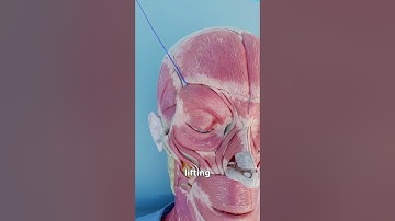 How An Eyebrow Thread Lift Works 🤔