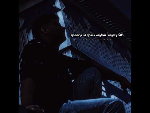 يا اميرتي يا جميلتي حالات واتس اب امين خطاب