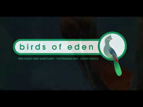 Bird of Eden - a fantasy world on the Garden Route