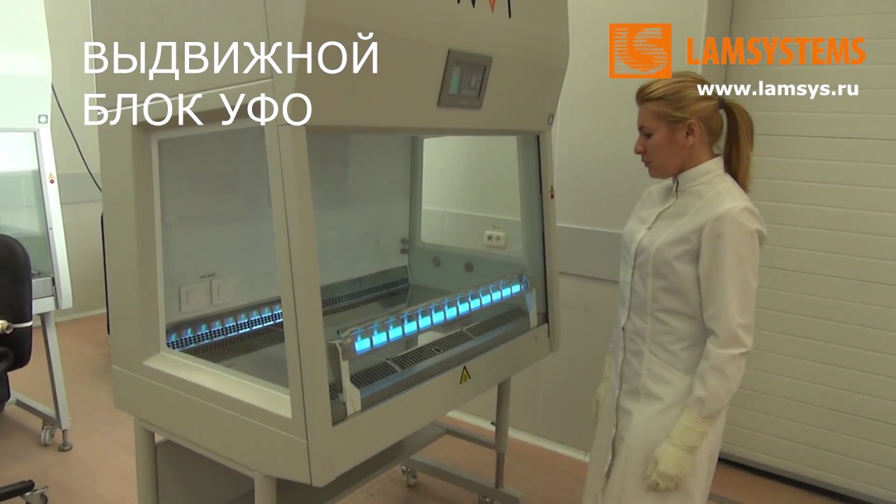 Уровни биологической безопасности. Lamsystems ламинарный бокс 2 класса. Бокс биологической безопасности 2 класса. Двери в боксы микробиологической безопасности. Ламинарный бокс конструкция.