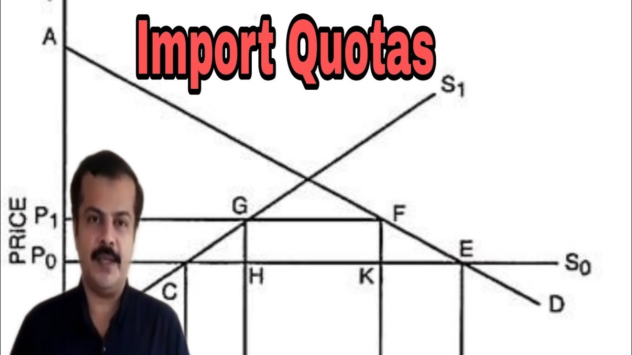 Import Quotas | Effects Of An Import Quota