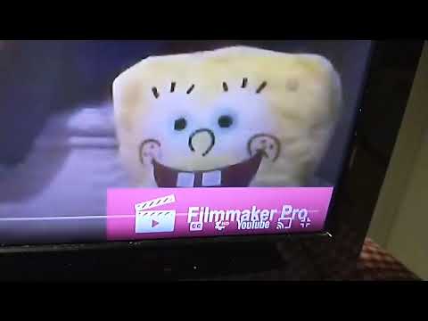 OH MY GOD IT'S SPONGEBOB!!! I LOVE HIM SO MUCH!!!!