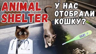 ЛЕЧИМ БОЛЬНОГО КОТИКА | Animal Shelter #3