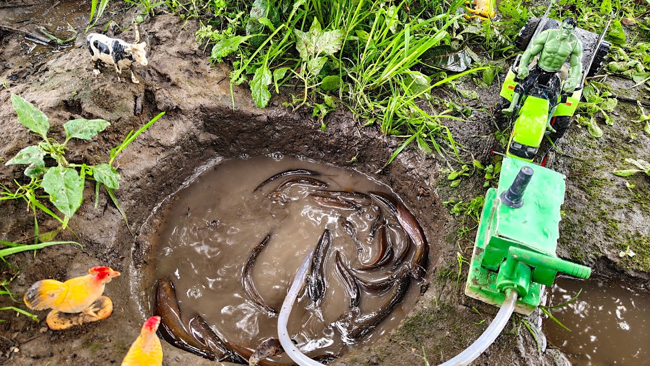 Catch fish use mini water pump? Catch fish use mini pond pump? village fhis catching fish ideas