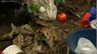 NEWSNIGHT: Inside Peru's war on drugs