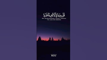 ( قل سيروا في الأرض فانظروا كيف بدأ الخلق ) #قرآن #سورة_العنكبوت #مسجد_الخالدي #عبدالرحمن_مسعد