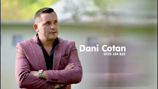 Dani Cotan -nici nu a intrat tiru in Anglia (fratii Lupu)