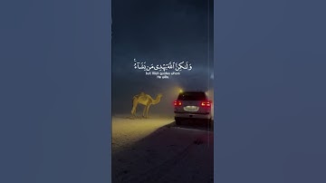 القارئ : ياسر الدوسري سورة : القصص ، الآية ٥٦