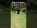 半年ぶりに名前を呼んだら、走ってきた #shorts