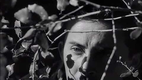 スタンリー・キューブリック　『恐怖と欲望』　予告(30秒）