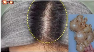 White Hair Turn To Black Naturally Permanently in 3 minutes | White hair natural dye with  herb