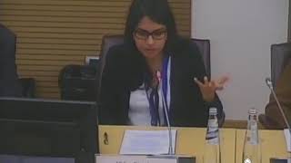 Session 5: Inequalities and rural resilience. 2 May 2018