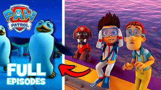 pups save penguins full episodes paw patrol compilation