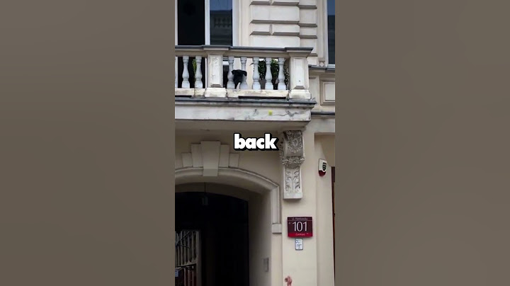 🐕 Crazy Dog Plays Fetch from the Balcony with Strangers! 🎾😆