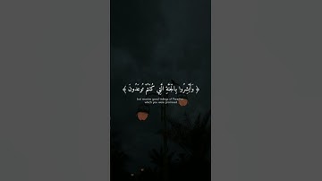إِنَّ الَّذِينَ قَالُوا رَبُّنَا اللَّهُ ثُمَّ اسْتَقَامُوا | ناصر القطامي | سورة فصلت