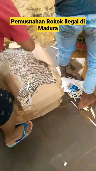 Pemusnahan Rokok Ilegal di Madura #shorts