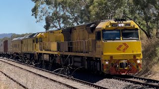 Aurizon freight: 6PM1 through Mt Barker Junc with ACD6055, ACD6048, G533 & a crew car