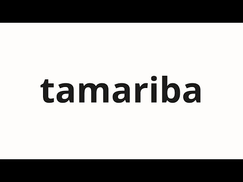 How To Pronounce Tamariba たまり場 Hangout In Japanese