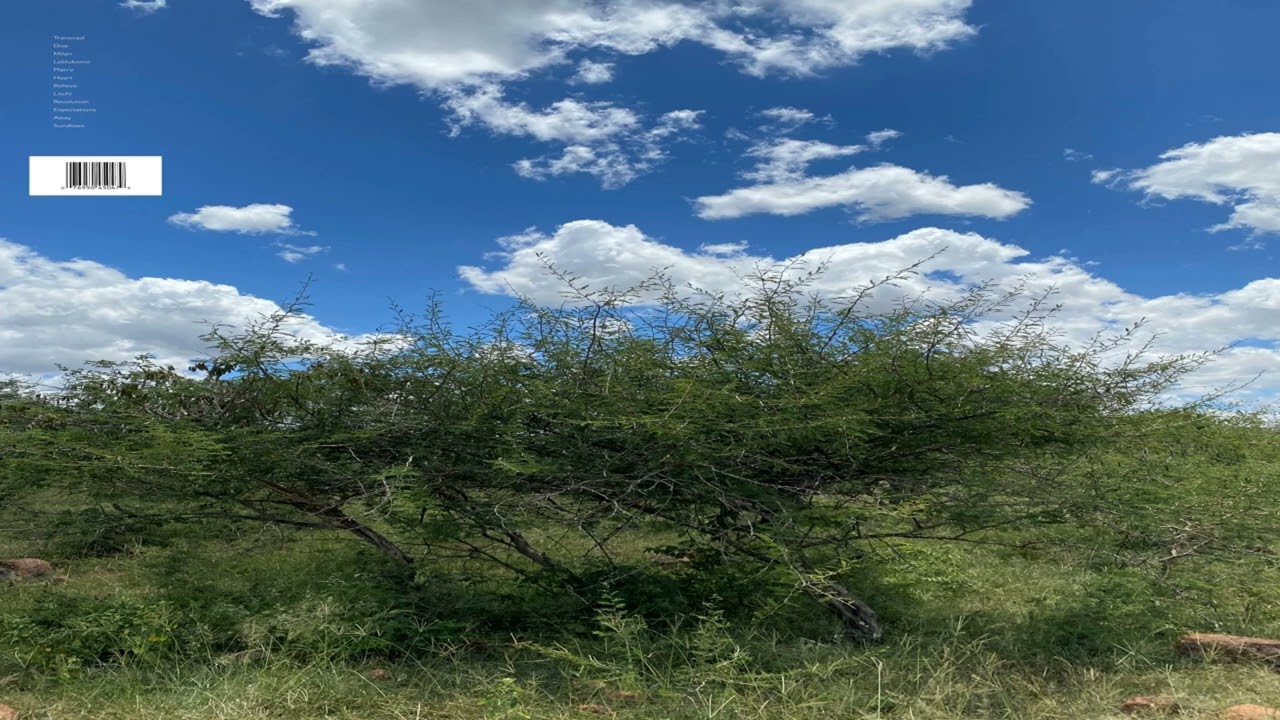 Moments In Space, Solo Otto, Kobebeats - Expectations (Official Audio)