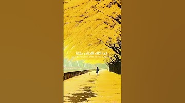 إطمئت #quran #قران #viral #اكسبلور #funny #راحة_نفسية #duet #دويتو #تلاوة #humor