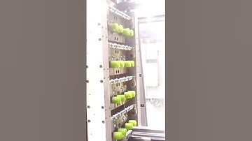 gosder.com | How to closing in mold of flip top cap closure