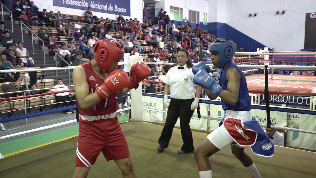 Campeonato Nacional Masculino Élite y Juvenil de boxeo - YouTube