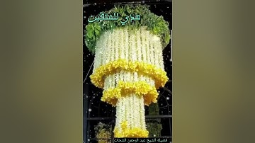 سورة التحريم فضيلة الشيخ عبد الرحمن الشحات#هدى_للمتقين #احلام_المساء #قران_كريم #ايات_القرآن_الكريم