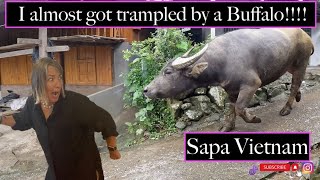 Sapa Vietnam 3 day 2 night tour