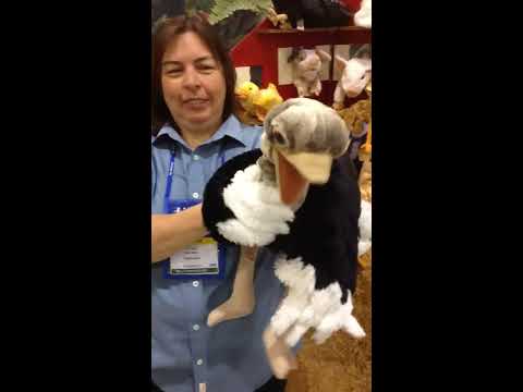 ostrich webkinz