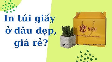 In túi giấy giá rẻ, đẹp số lượng ít ở đâu ?| in Lê Vinh