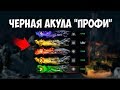 Награды за Черную Акулу "Профи" Warface