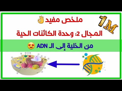 فيديو: الخلية كوحدة أولية للحياة