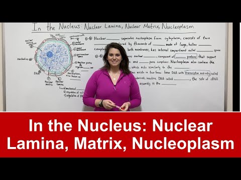 Video: Ce este matricea nucleară?