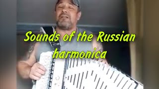 A trucker in the parking lot sings a chanson to the harmonica  Sounds of the Russian harmonica